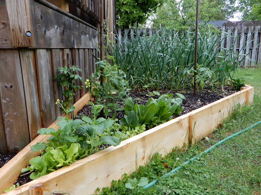 Gartenbeet