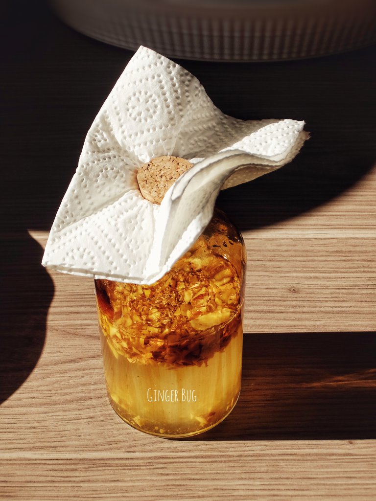 Ginger Bug Ansatz
