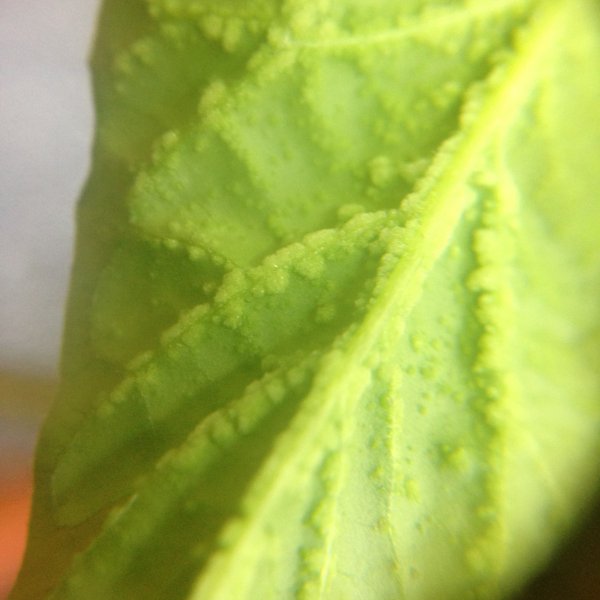 Image3