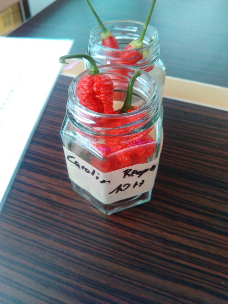 IMG-20170819-WA0014