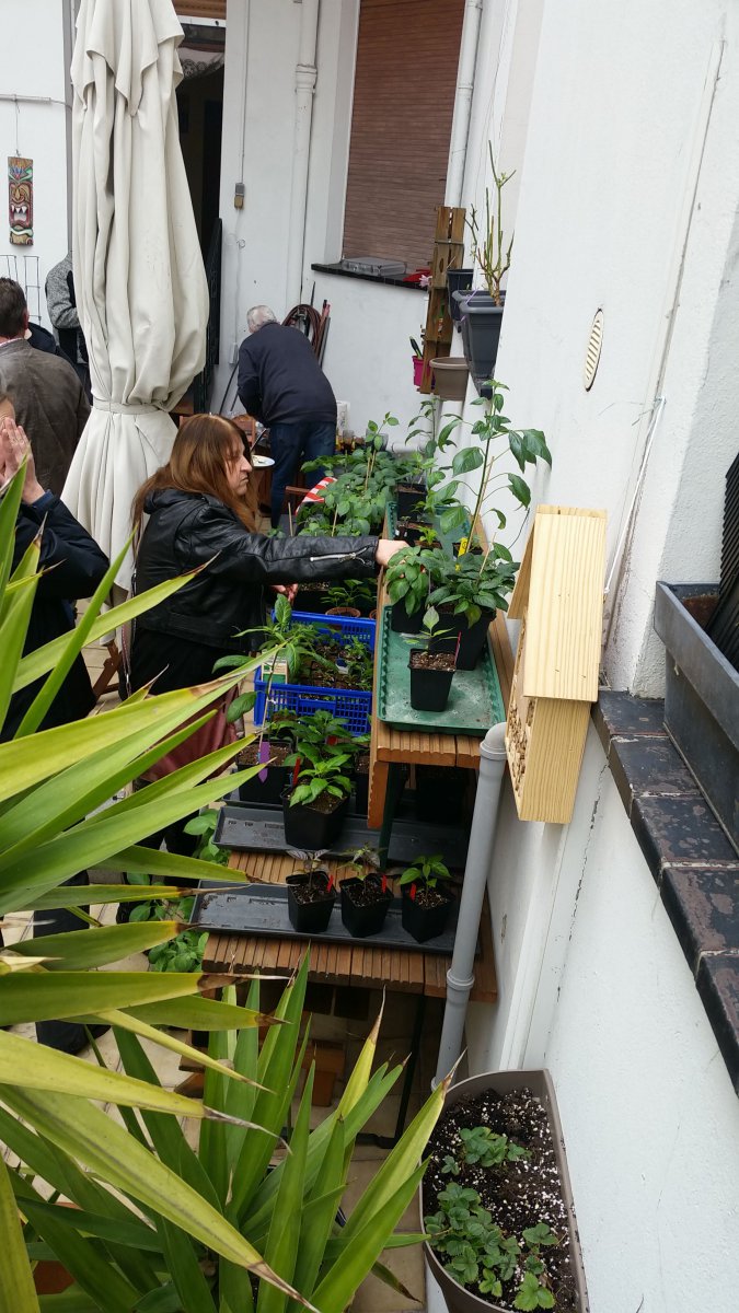 IMG-20190406-WA0005.jpeg