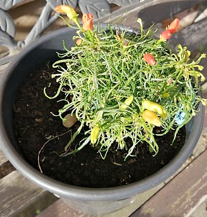 IMG_20221030_111601_cleaned.jpg