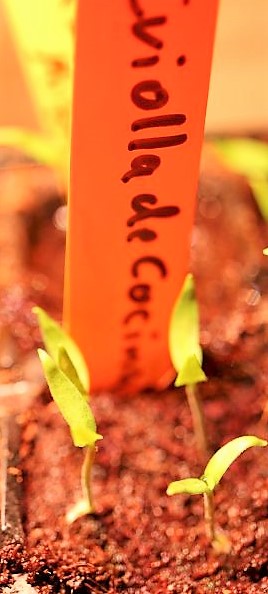 IMG_3321_cleaned.JPG