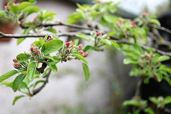 IMG_3463_cleaned.JPG