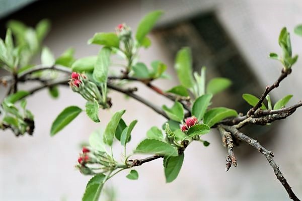 IMG_3465_cleaned.JPG