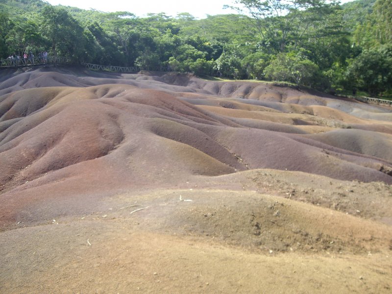 IMGP8348