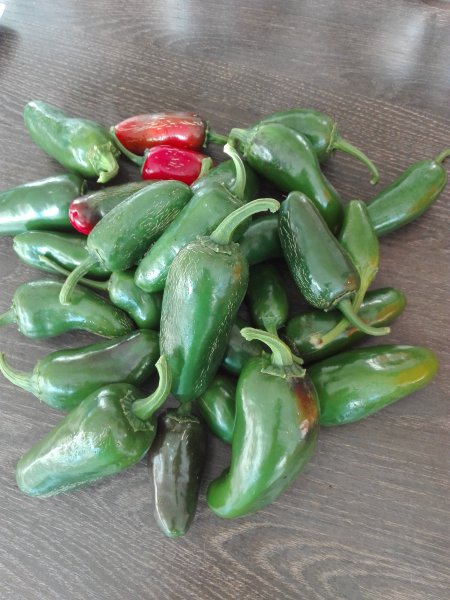 Jalapeños 03.11.15