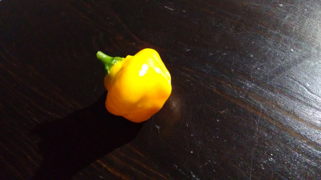 Jamaican Hot Yellow