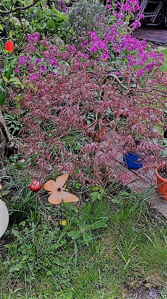 K-20170408_113425