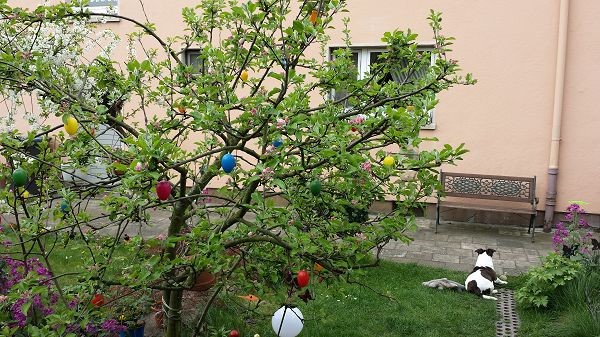 K-20170408_113517