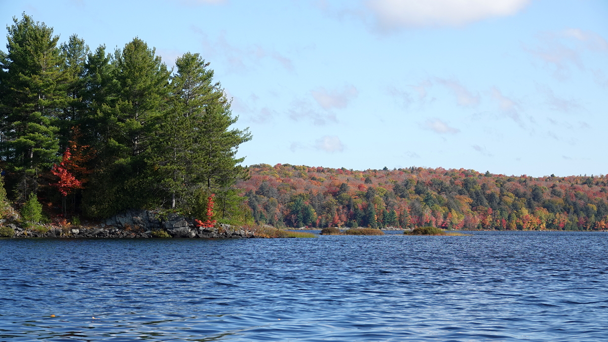 Lake