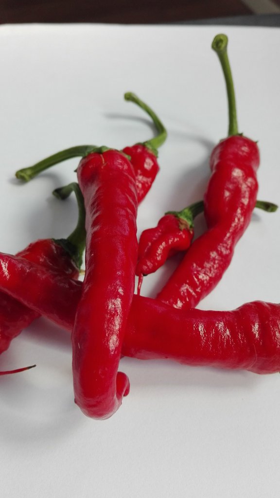 Lidl Peperoni