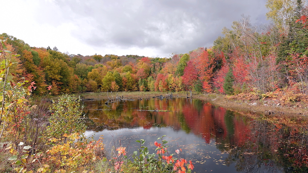 Nord Ontario