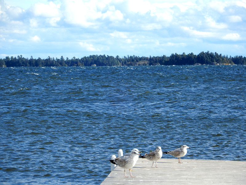 North Channel
