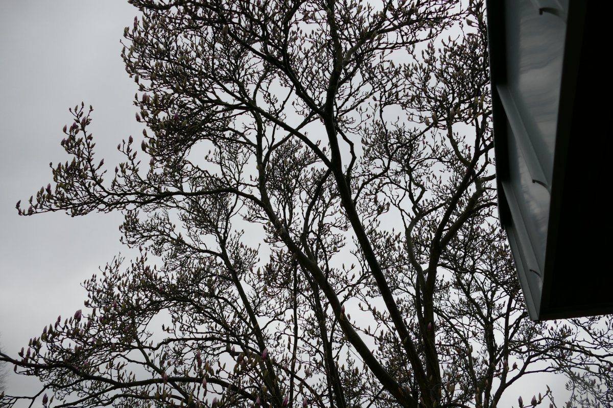 P1000228.JPG