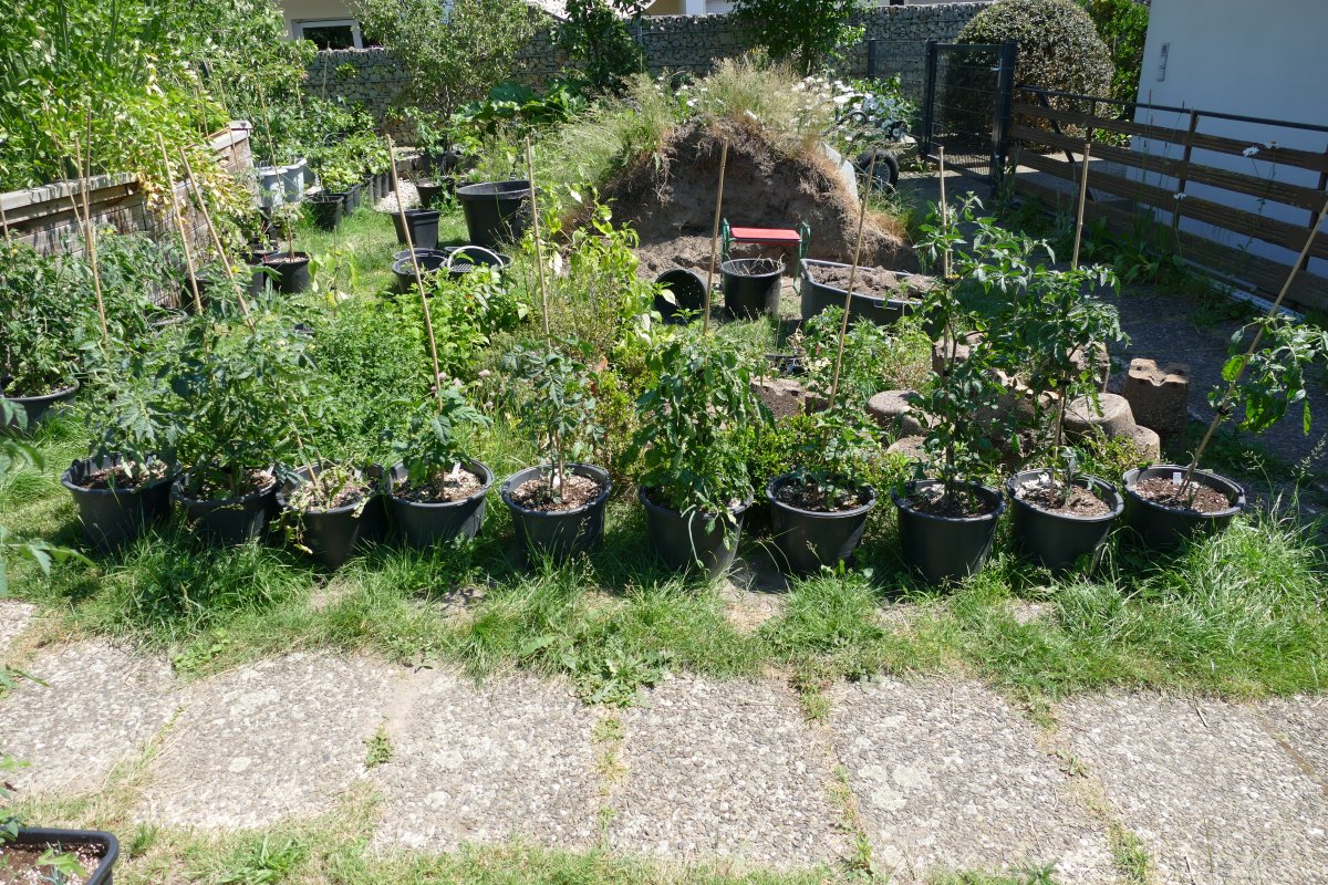 P1020036.JPG