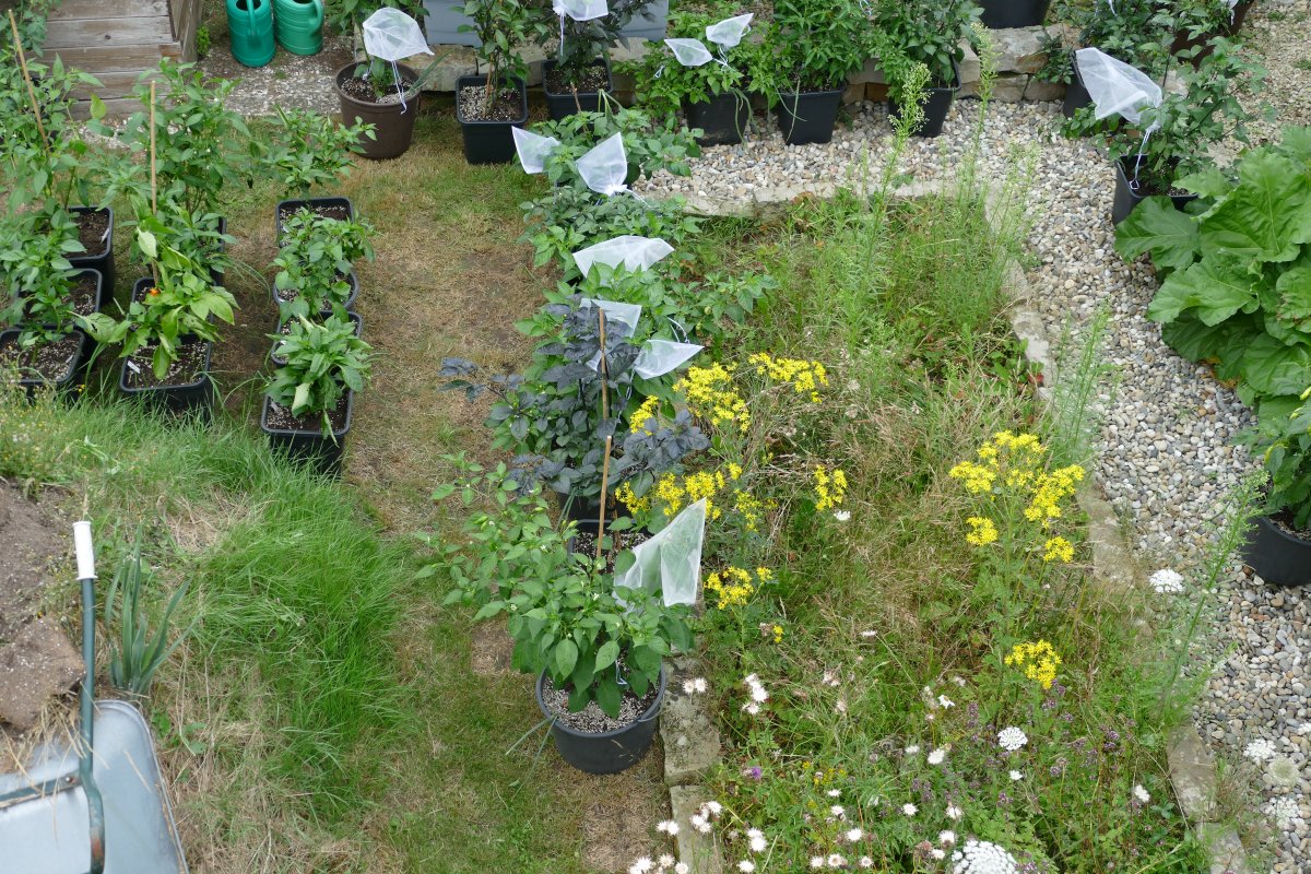 P1020077.JPG