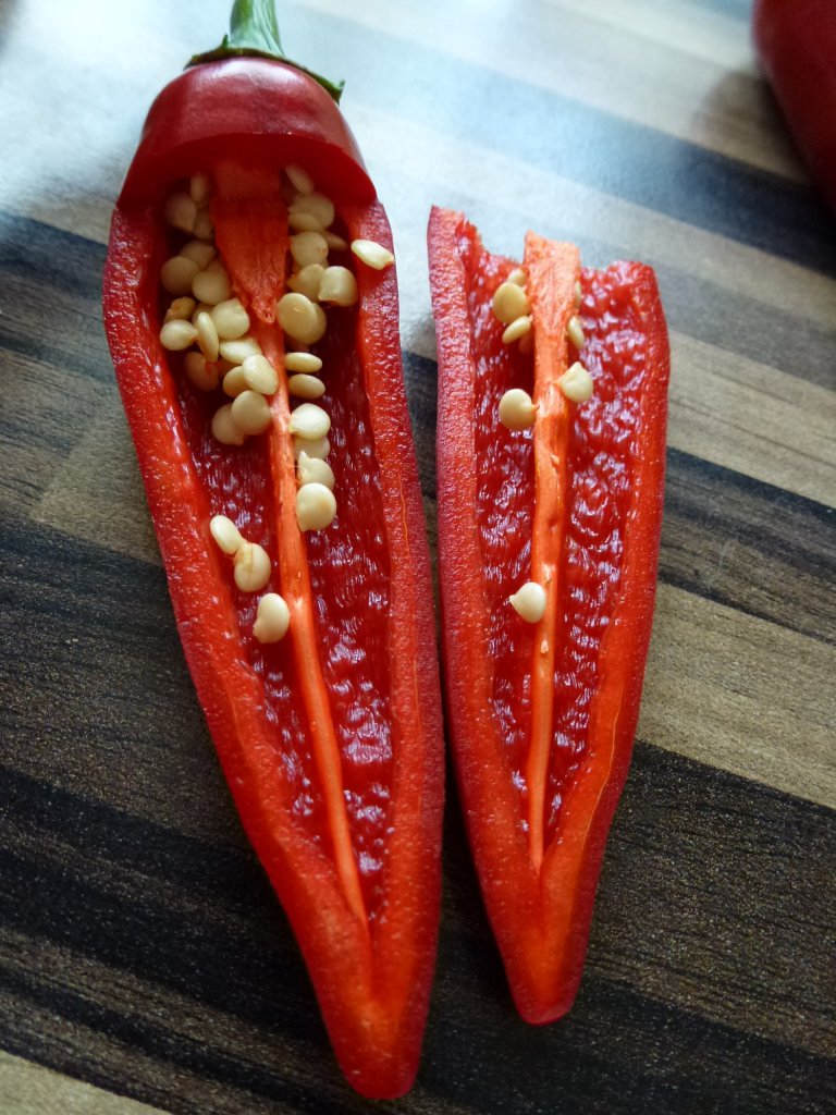 P1040799