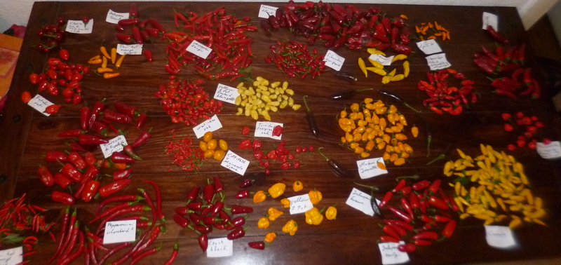 P1250415