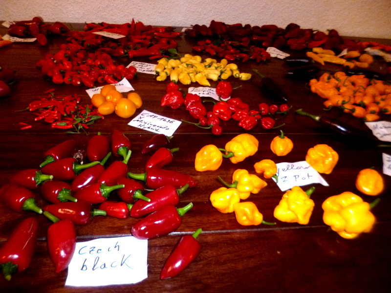 P1250426