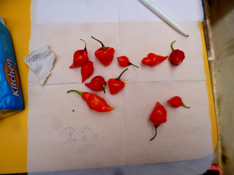 P1280279