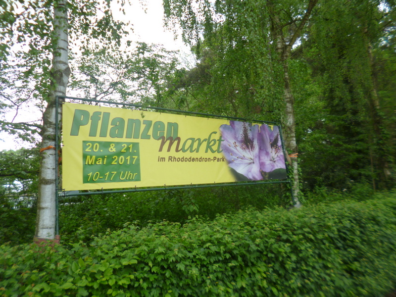 P1290058