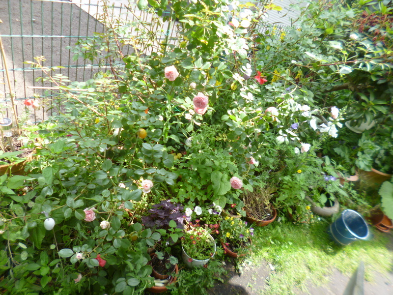P1290346