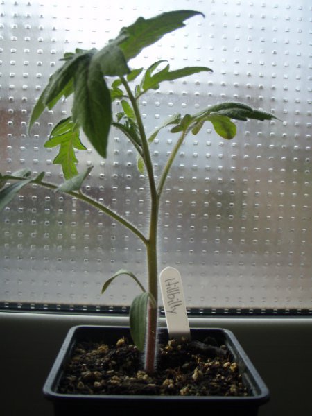 P3240097