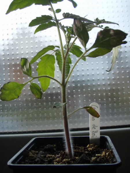 P3240100
