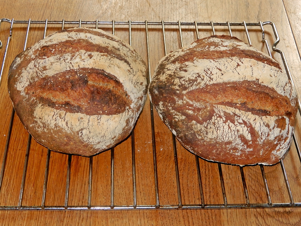 Pane Valle Maggia  (2).JPG