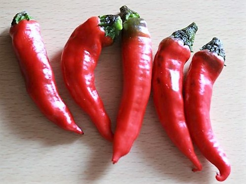Paprika Muritz