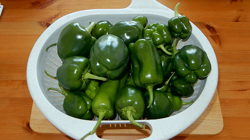 Paprika