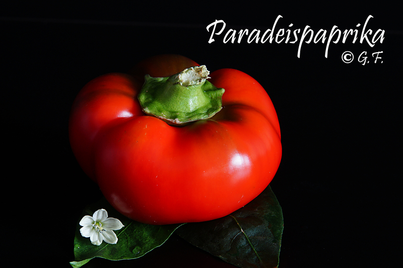 Paradeispaprika 1