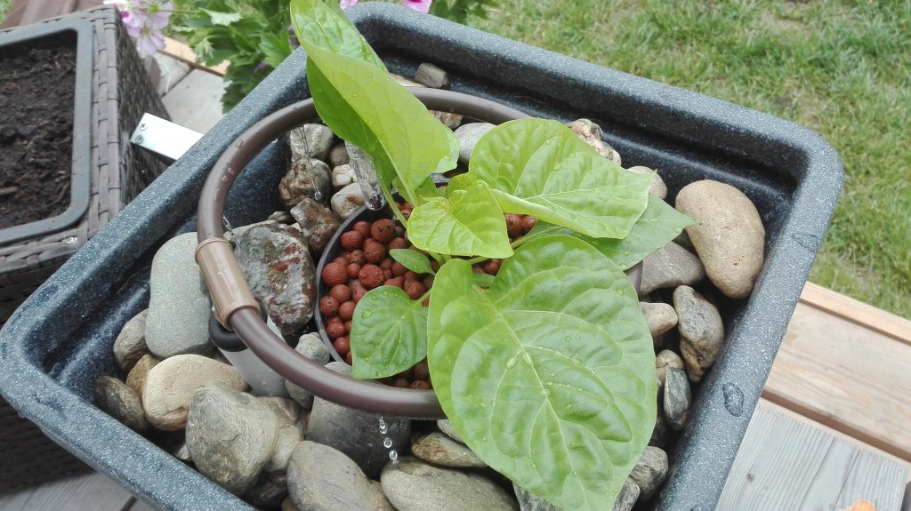 Reaper hydro