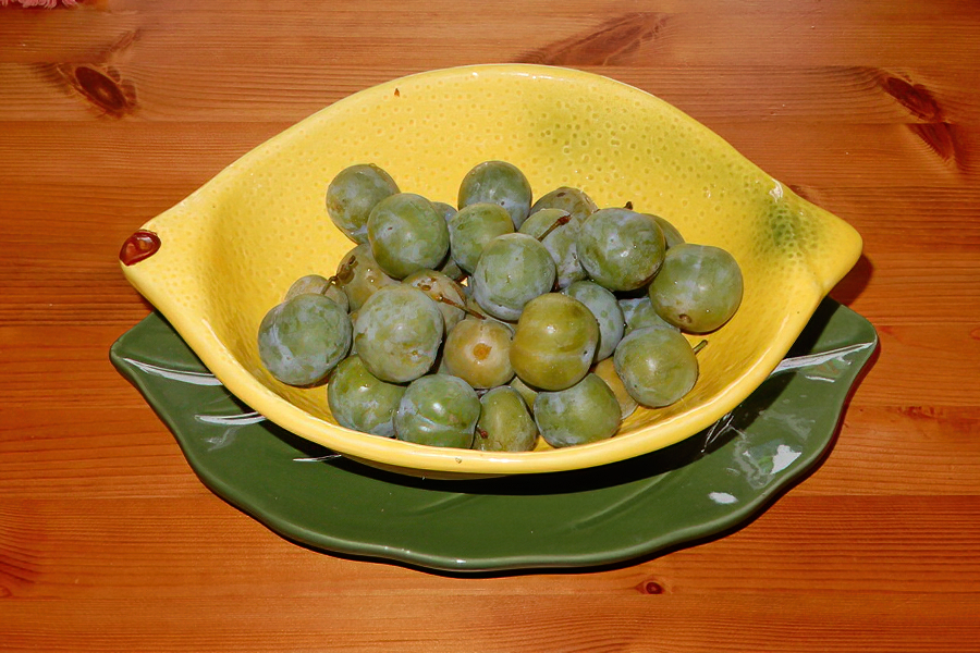 Renekloden