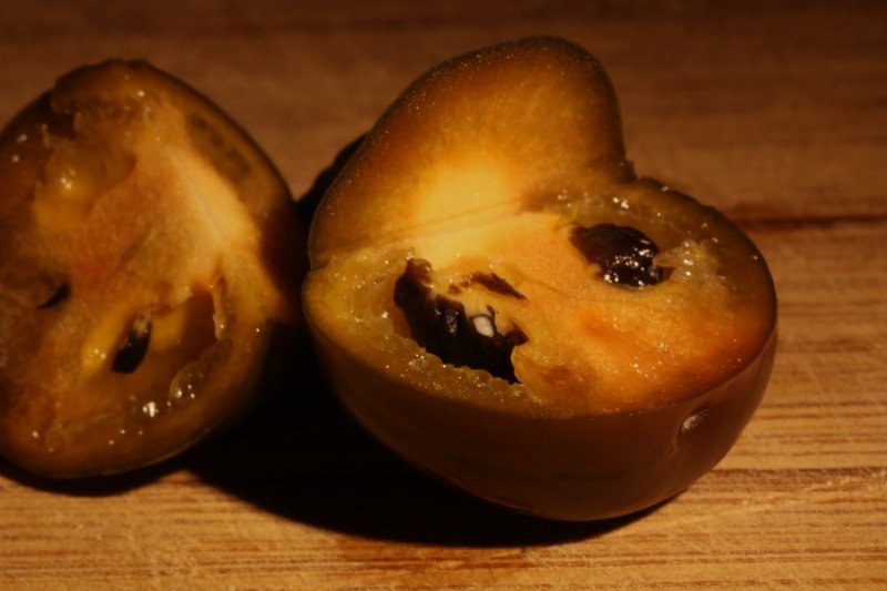 Rocoto Brown Mini