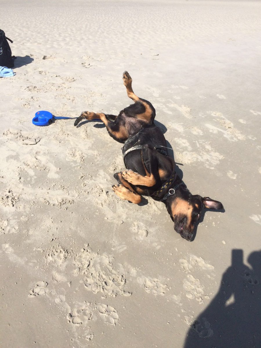 Sant Peter Ording .jpg