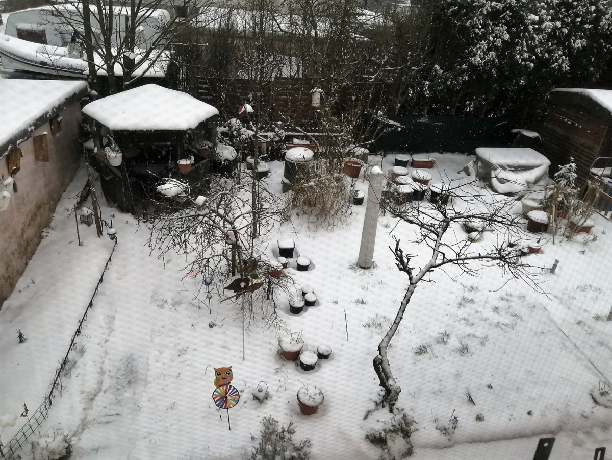Schnee am 07.02.2021