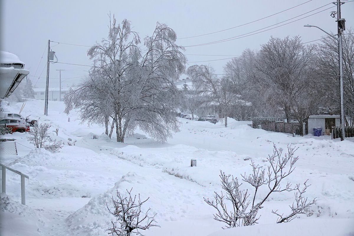 Schnee