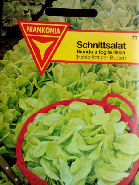 Schnittsalat Saatgut