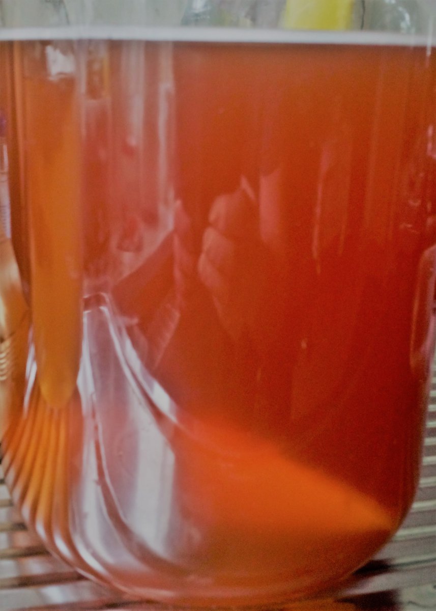 Scoby 3 L