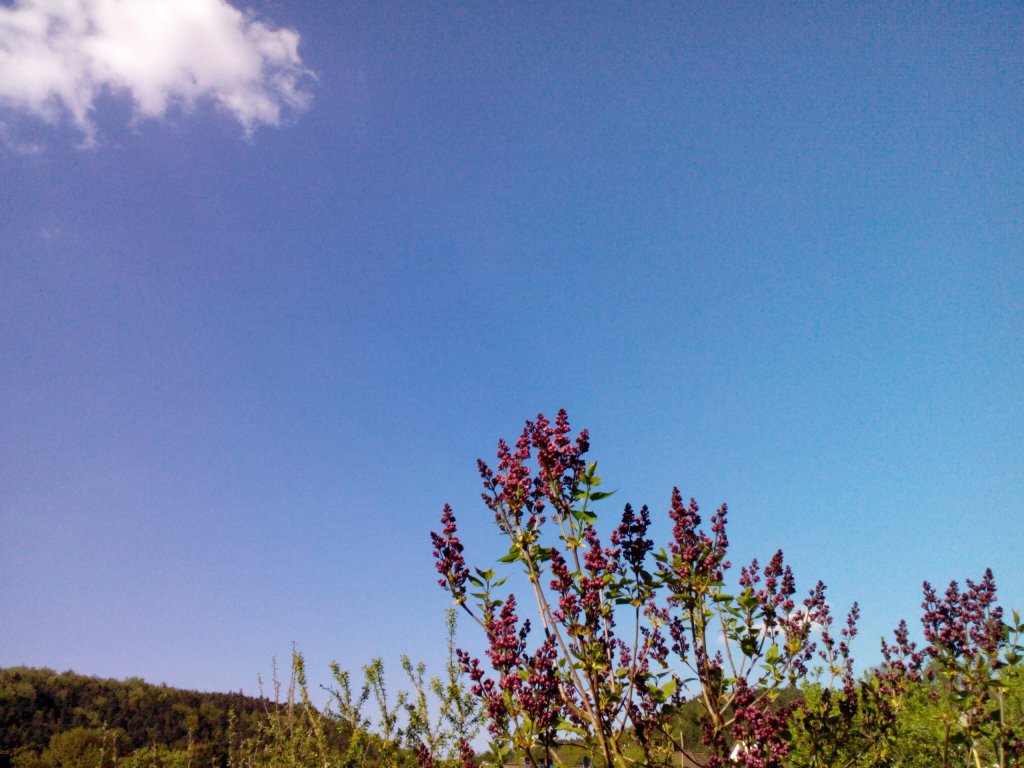 Sonne 25°