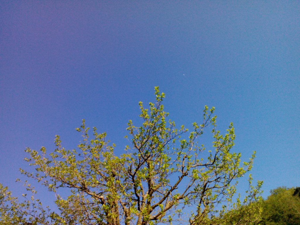 Sonne 25°