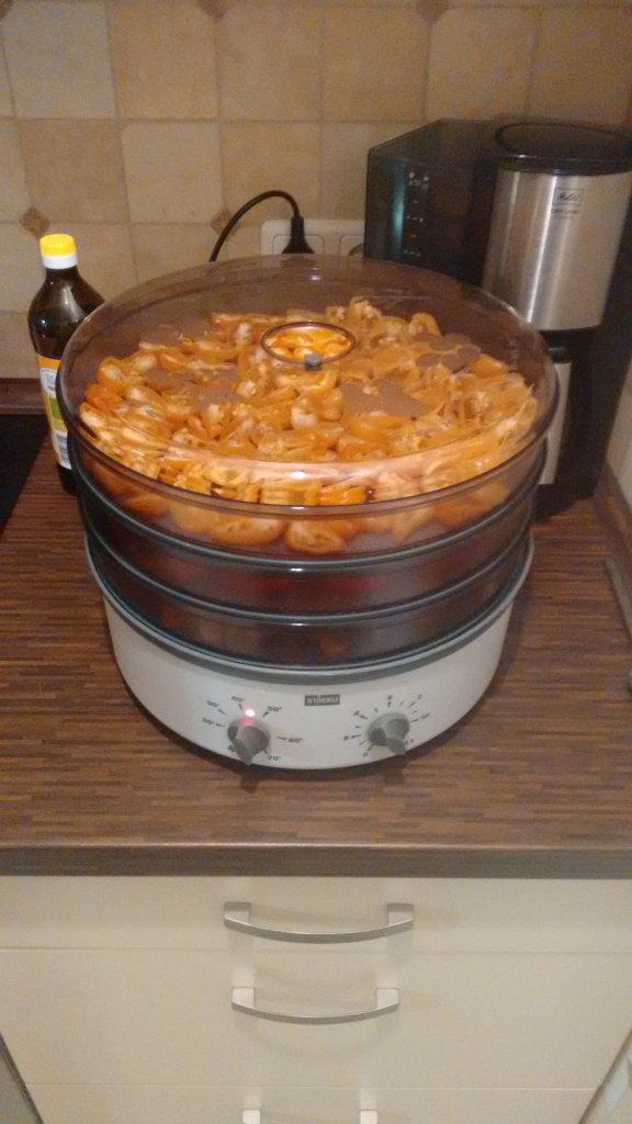 Stöckli Dörrex Timer