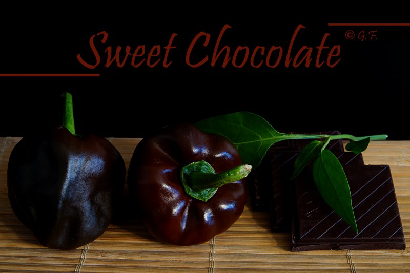 Sweet Chocolate