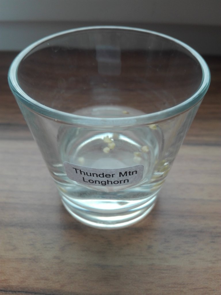 Thunder