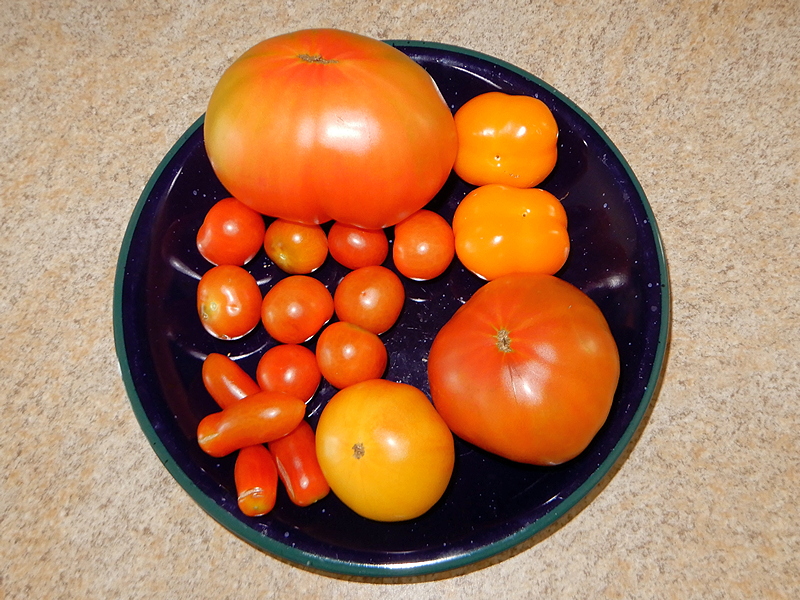 Tomaten Paprika
