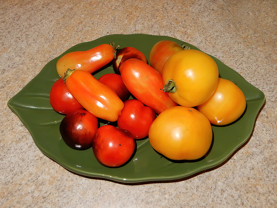 Tomaten