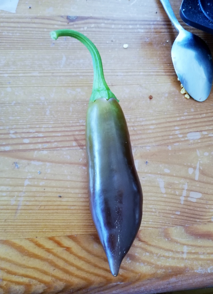 Was bin ich1?