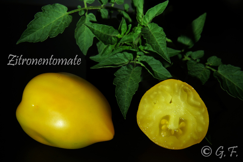 Zitronentomate